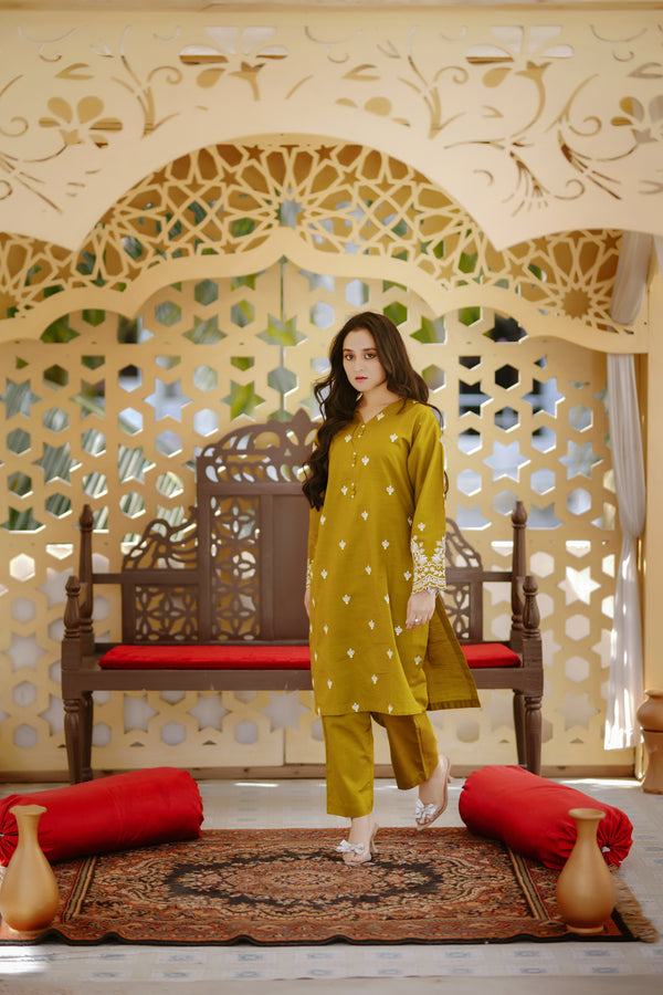 Eshaa  | Khaddar | 2 Piece | Embroidered